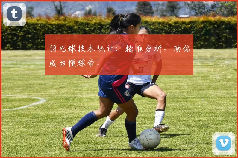 羽毛球技术统计：精准分析，助你成为懂球帝！