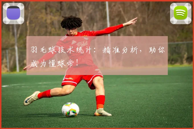 羽毛球技术统计：精准分析，助你成为懂球帝！